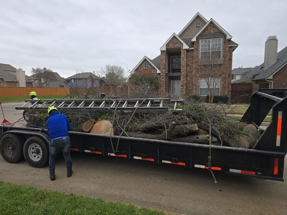 Expert Tree Fertilization with proper safety equipment in Cary